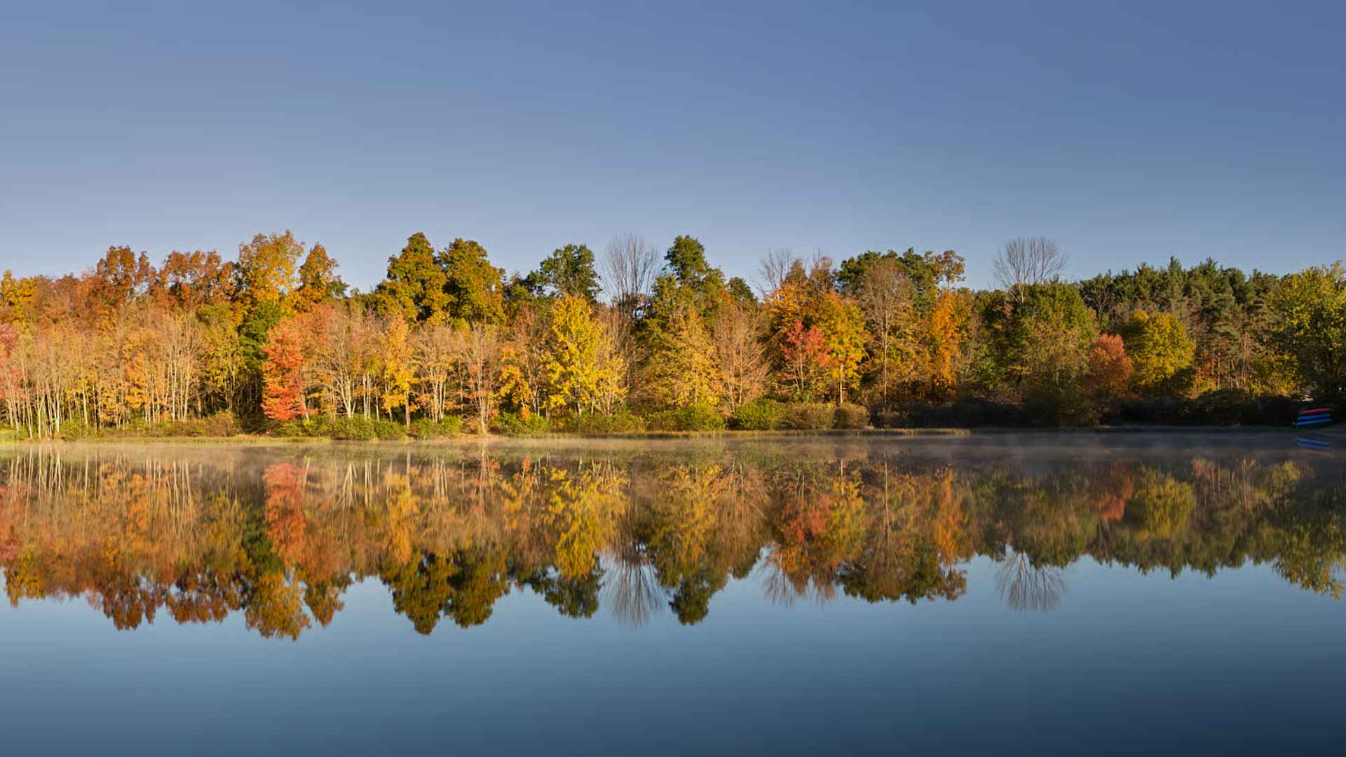 Calm river bend with gravel bar shoreline, clear water surrounded by forest day