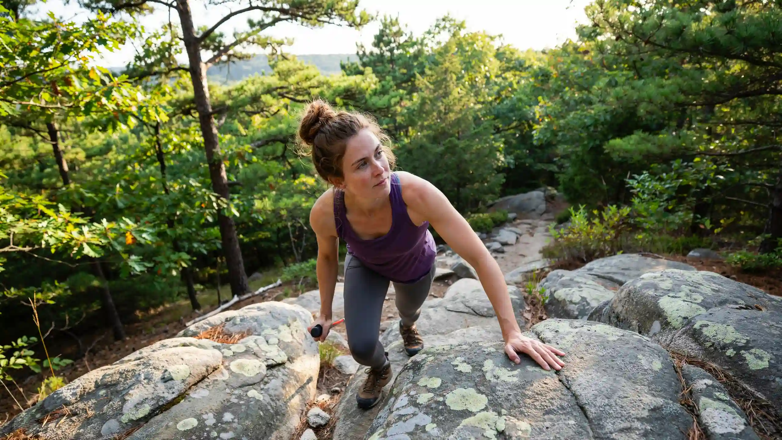 Mt. Tammany hiking trail