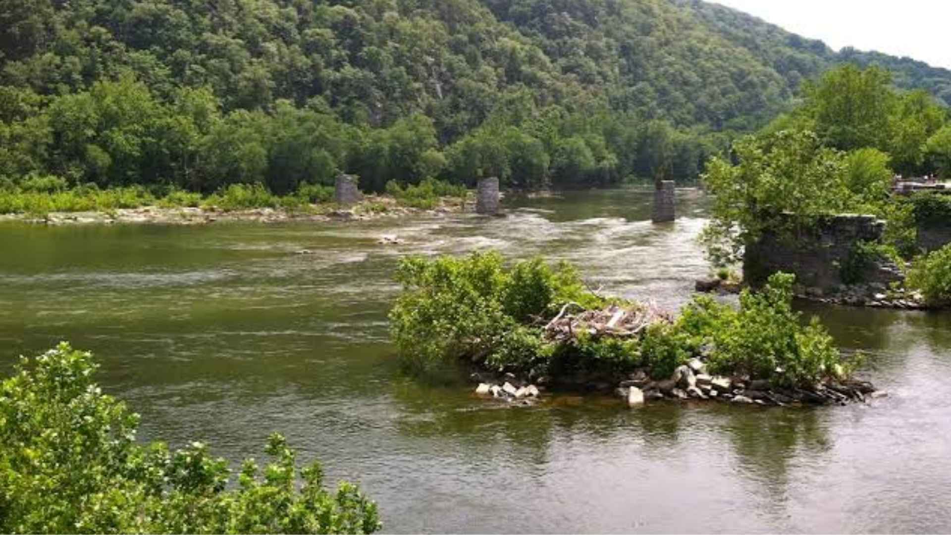 Calm river flowing in middle of the forest on a cloudy day