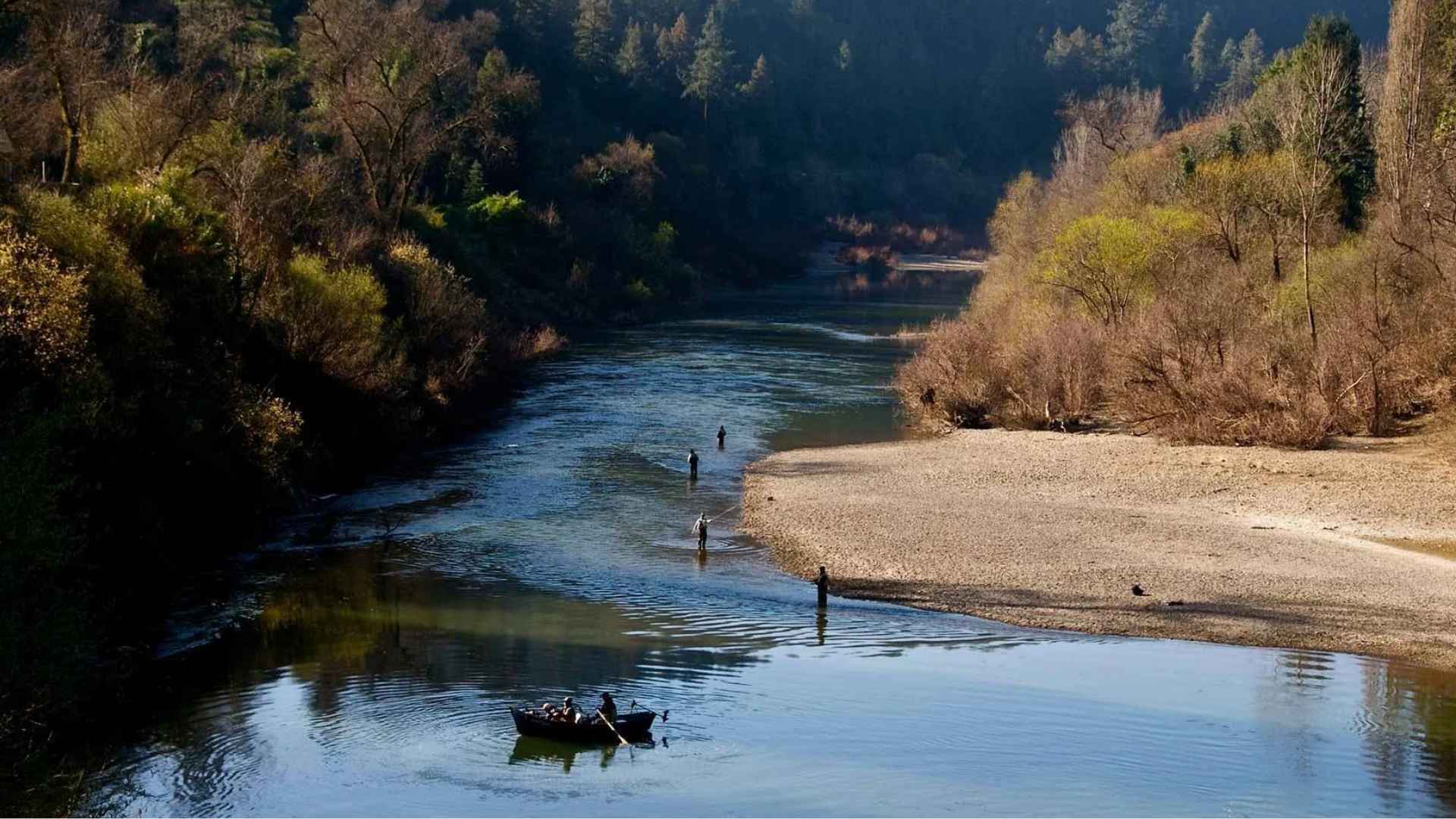 Calm river bend with gravel bar shoreline, small boat floating, and people wading in clear water surrounded by forest day