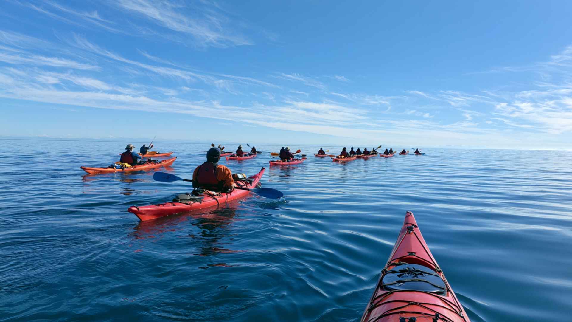 Group of red sea kayakers paddling single file across calm open ocean under a blue sky