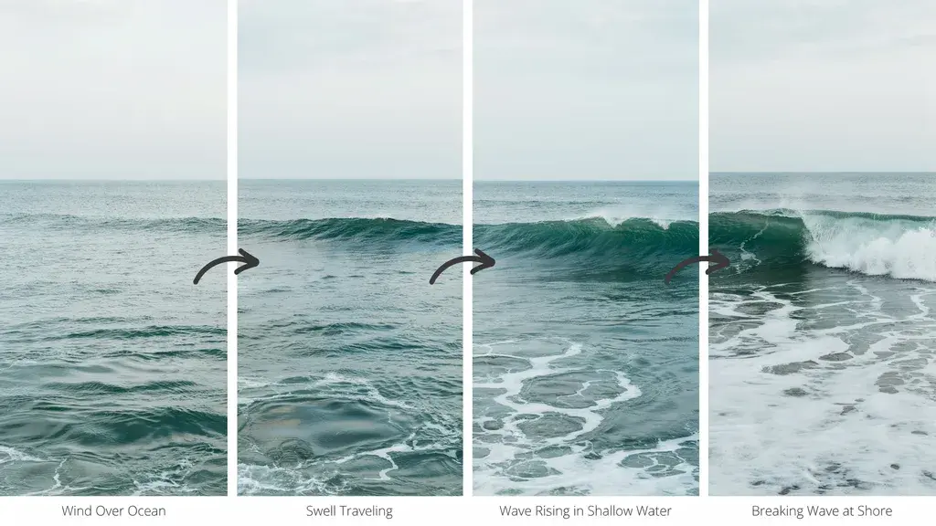 Four-panel sequence showing wave formation, from wind over ocean to swell, rising wave, and breaking shore wave.