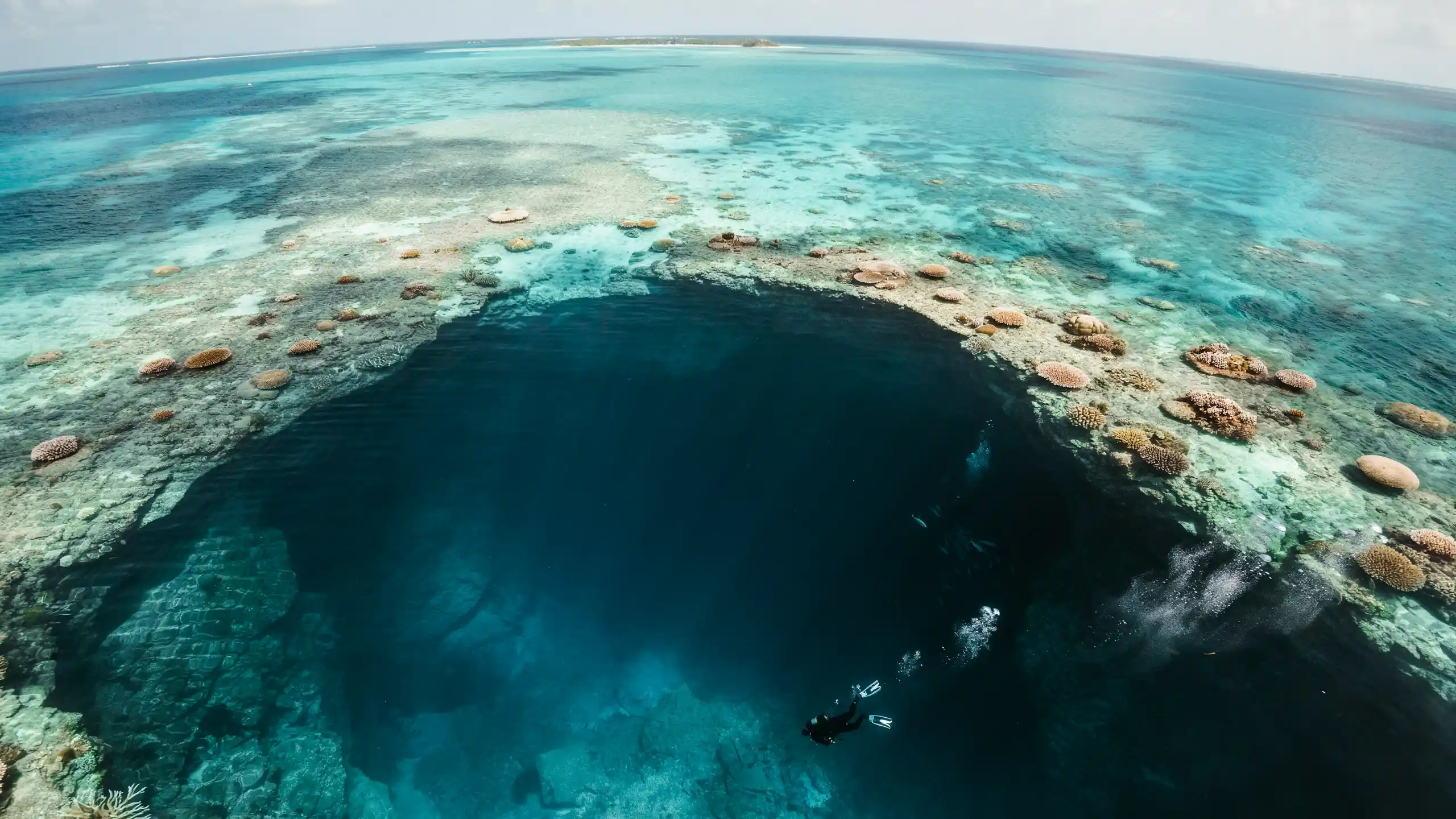 Underwater view of a Bahamas blue hole surrounded by shallow reef