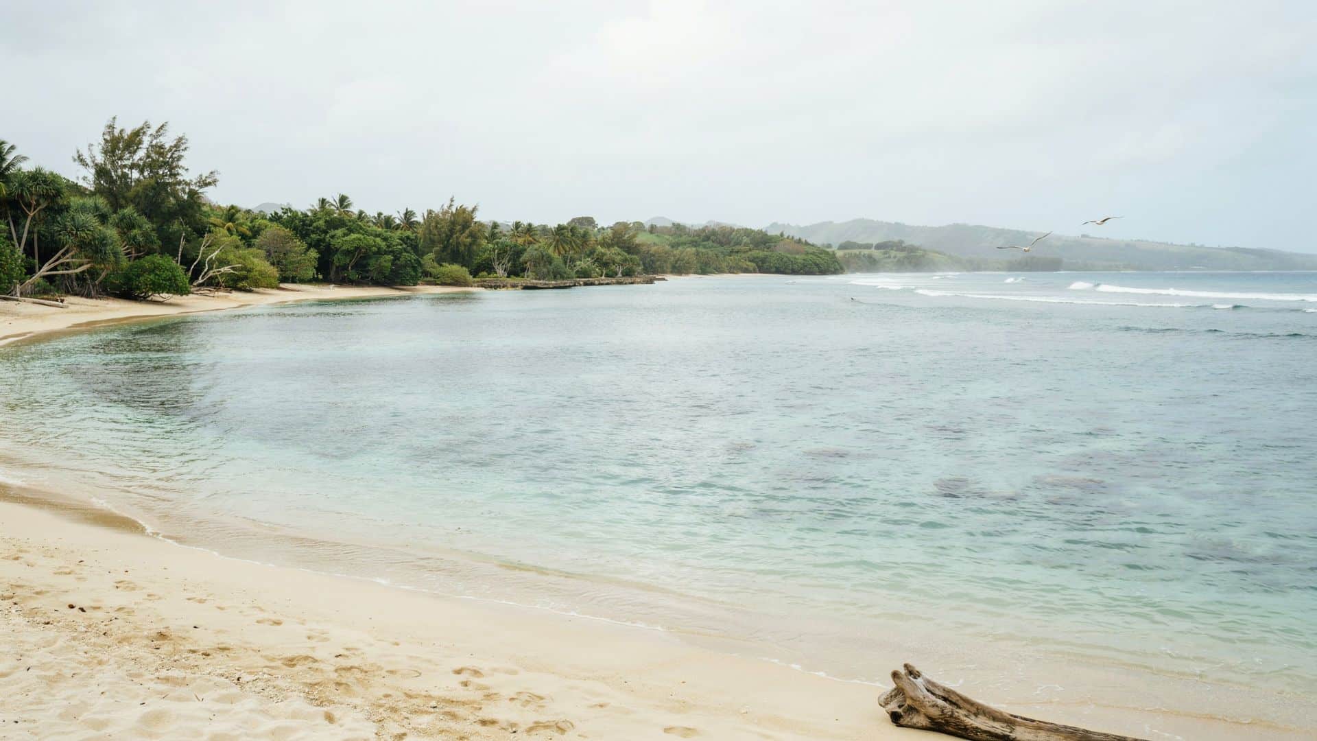 Anini Beach showing a peaceful sandy coast, shallow blue waters, tropical vegetation, and a calm Hawaiian shoreline