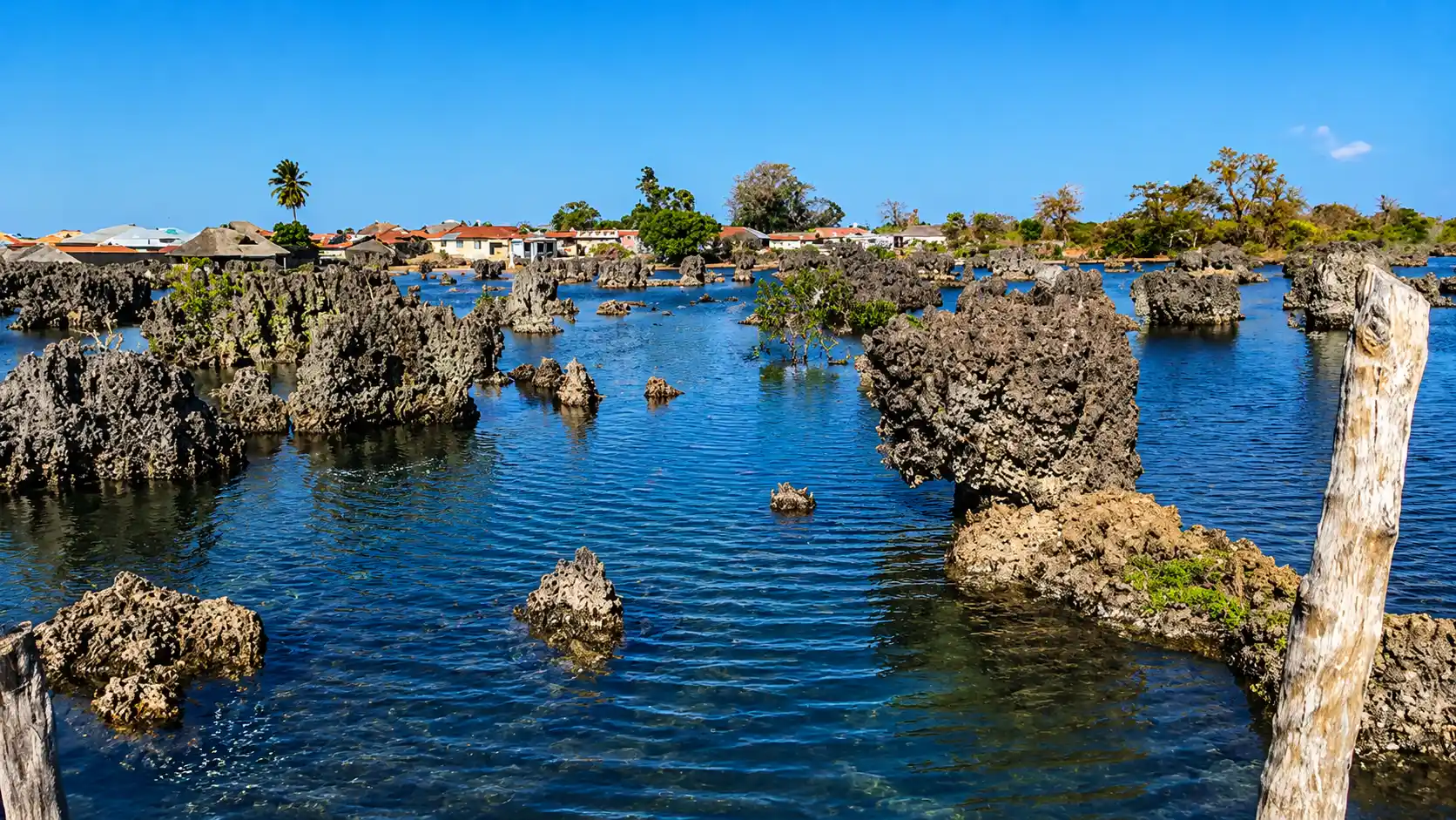 Shallow coastal waters surrounding coral rock formations with village rooftops and trees under a clear blue sky