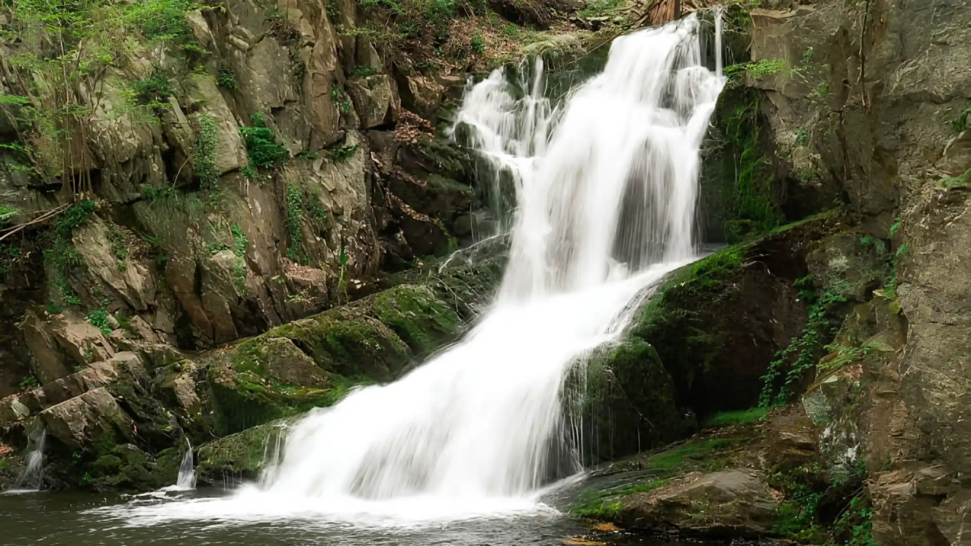 Forest waterfall cascading over moss covered rocks into a calm pool surrounded by rugged cliffs and fresh green plants