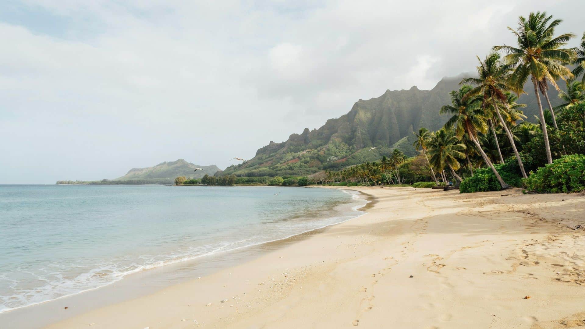 Haena Beach Park featuring a sandy beach, turquoise ocean, tropical greenery, and dramatic mountain cliffs in Kauai