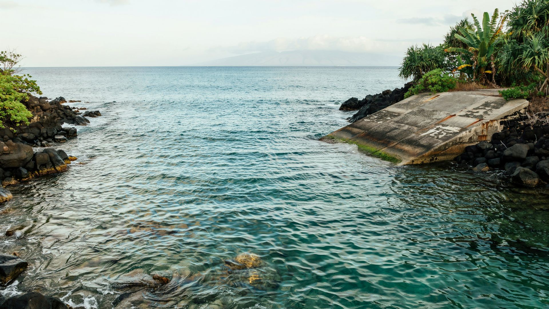 Koloa Landing with clear coastal waters, rocky shoreline, and tropical plants surrounding a popular Kauai snorkeling spot