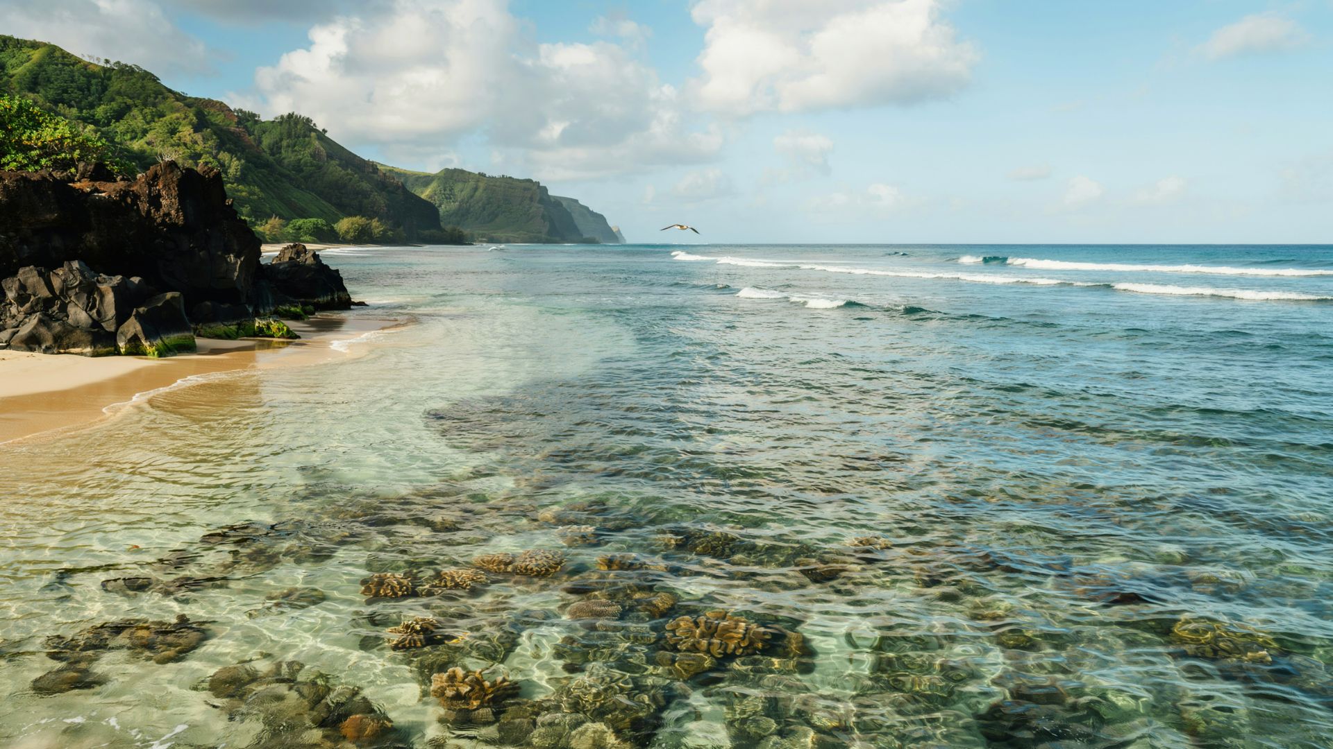 Clear turquoise waters at Lawai Beach with coral reef beneath the surface, rocky shore, green hills and ocean views in Kauai