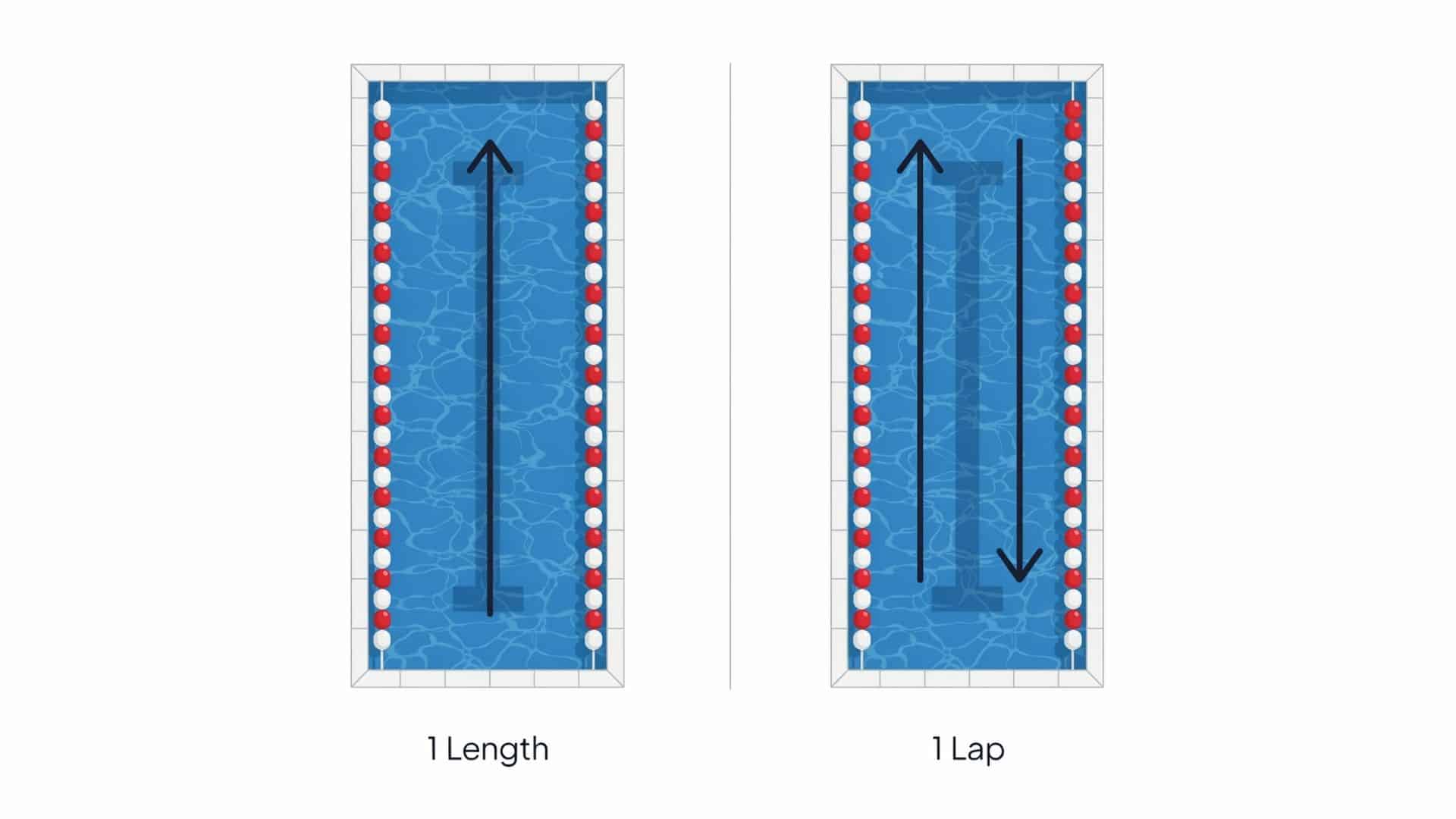 Diagram showing the difference between one swimming length and one lap.