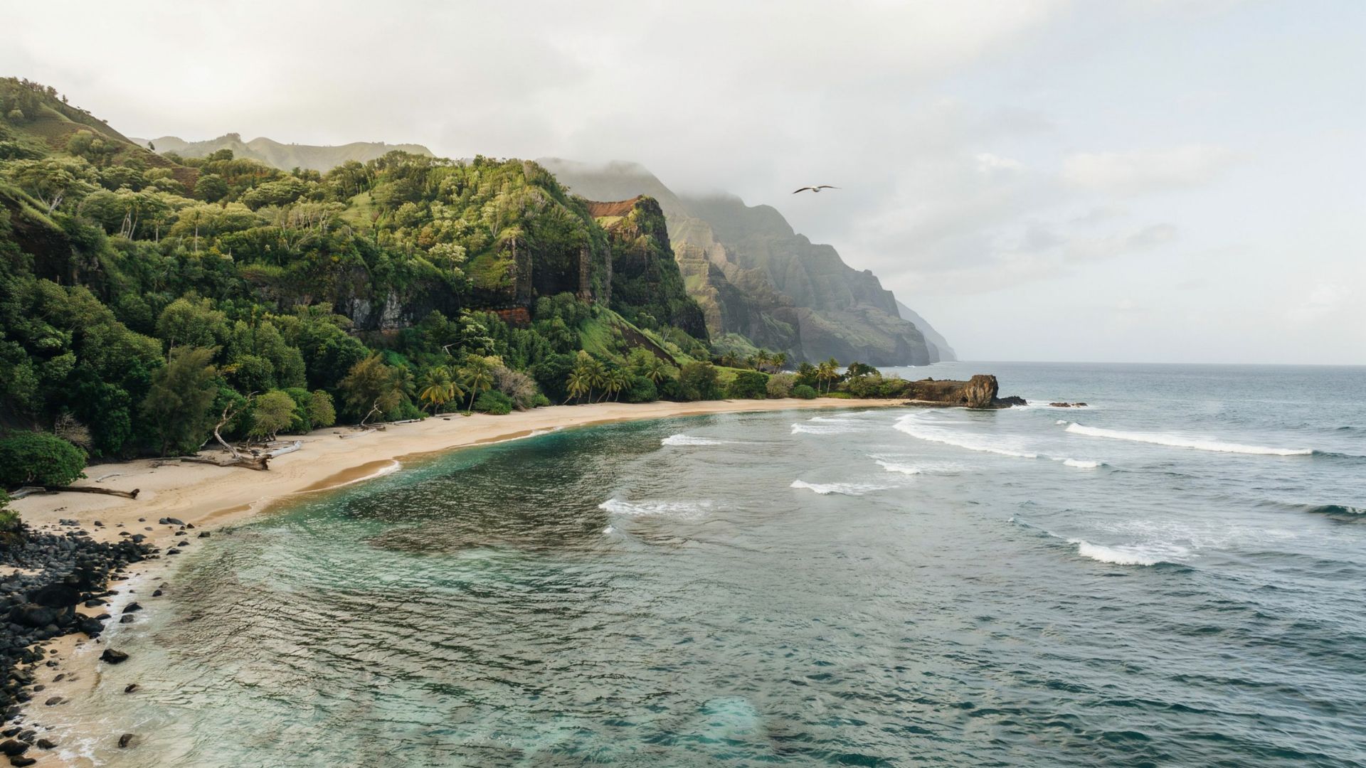 Nualolo Kai coastline with lush green cliffs, sandy beach, and calm ocean waters along Kauai’s remote Na Pali coast