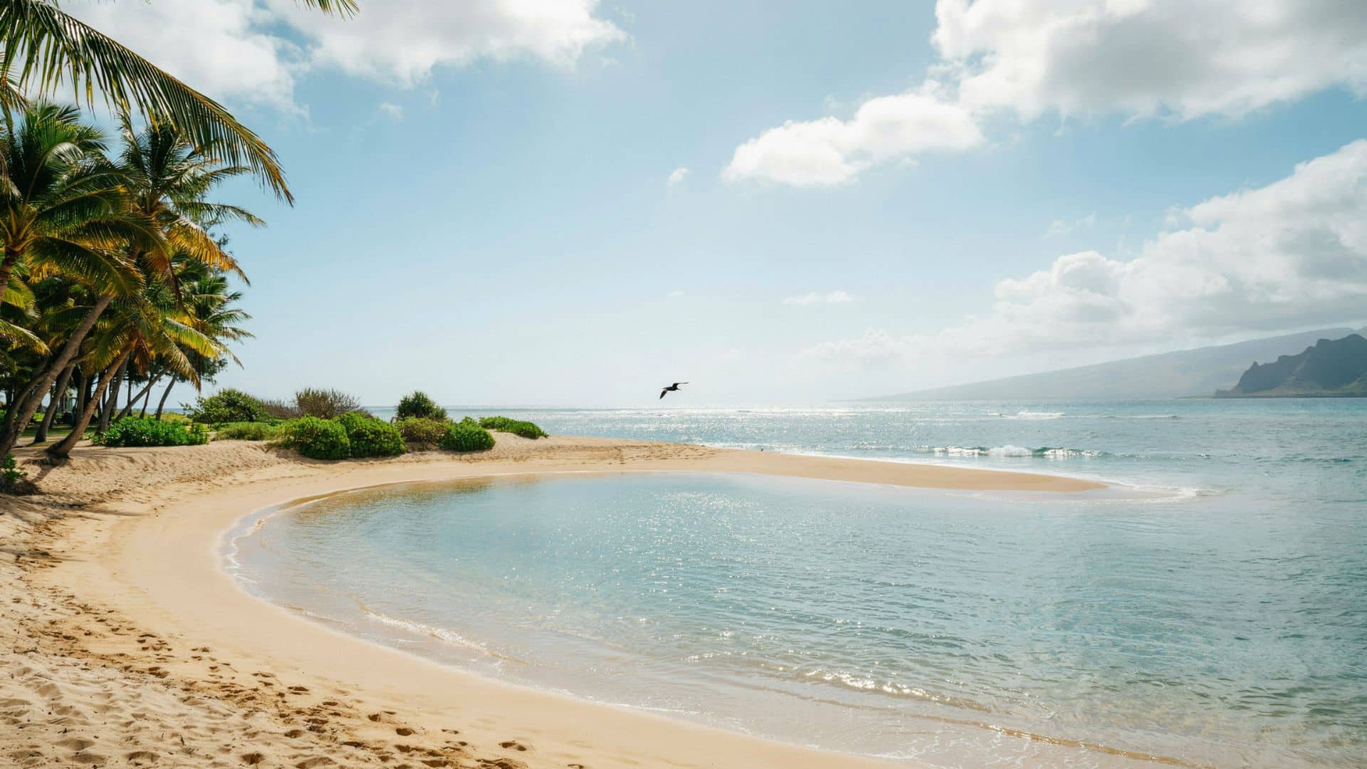 Poipu Beach Park with a sunny sandy beach, clear ocean waters, palm trees, and scenic mountain views in Kauai