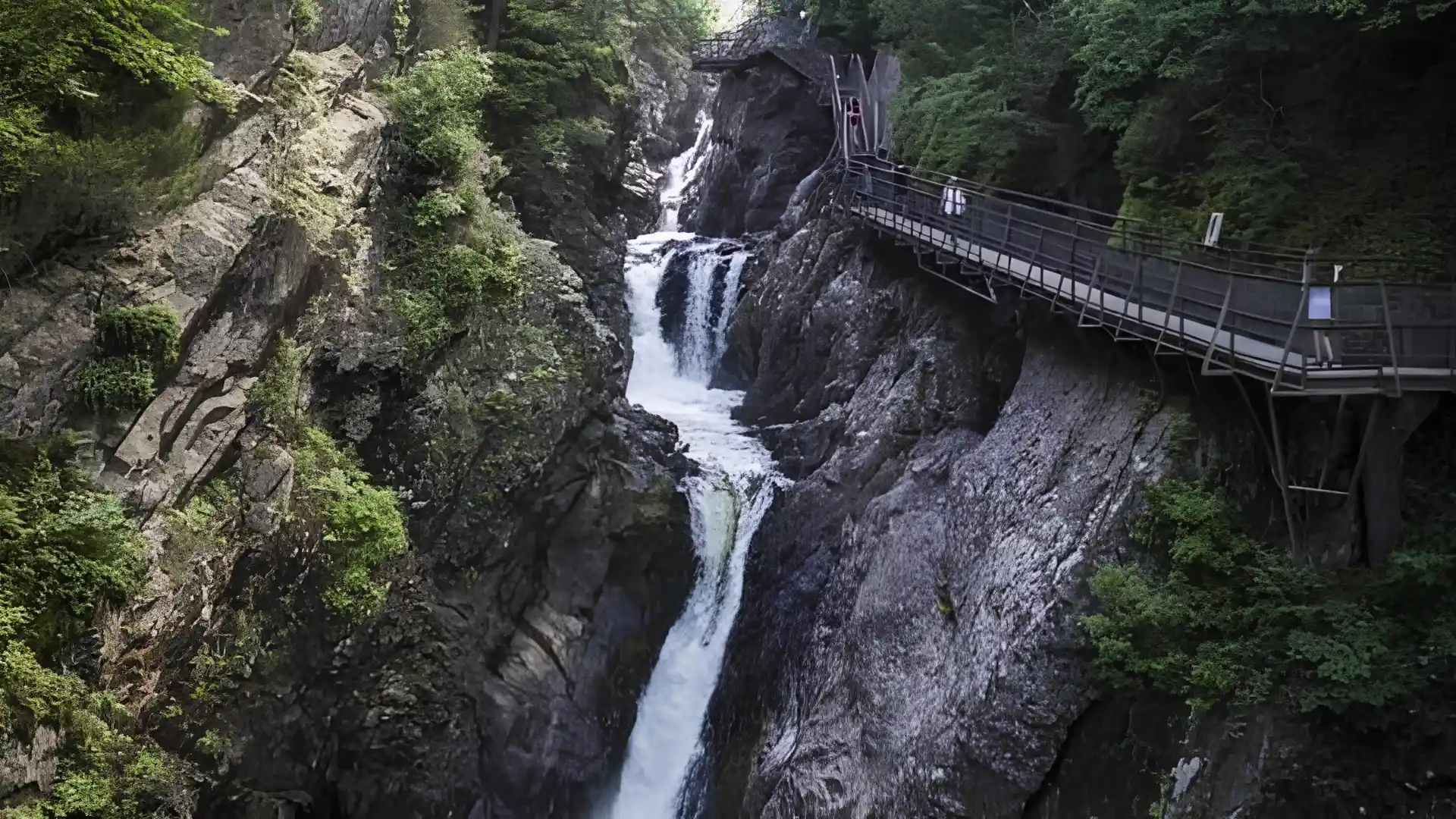 Powerful cascade drops between dark cliff walls while a raised viewing path follows the rugged and densely forested gorge