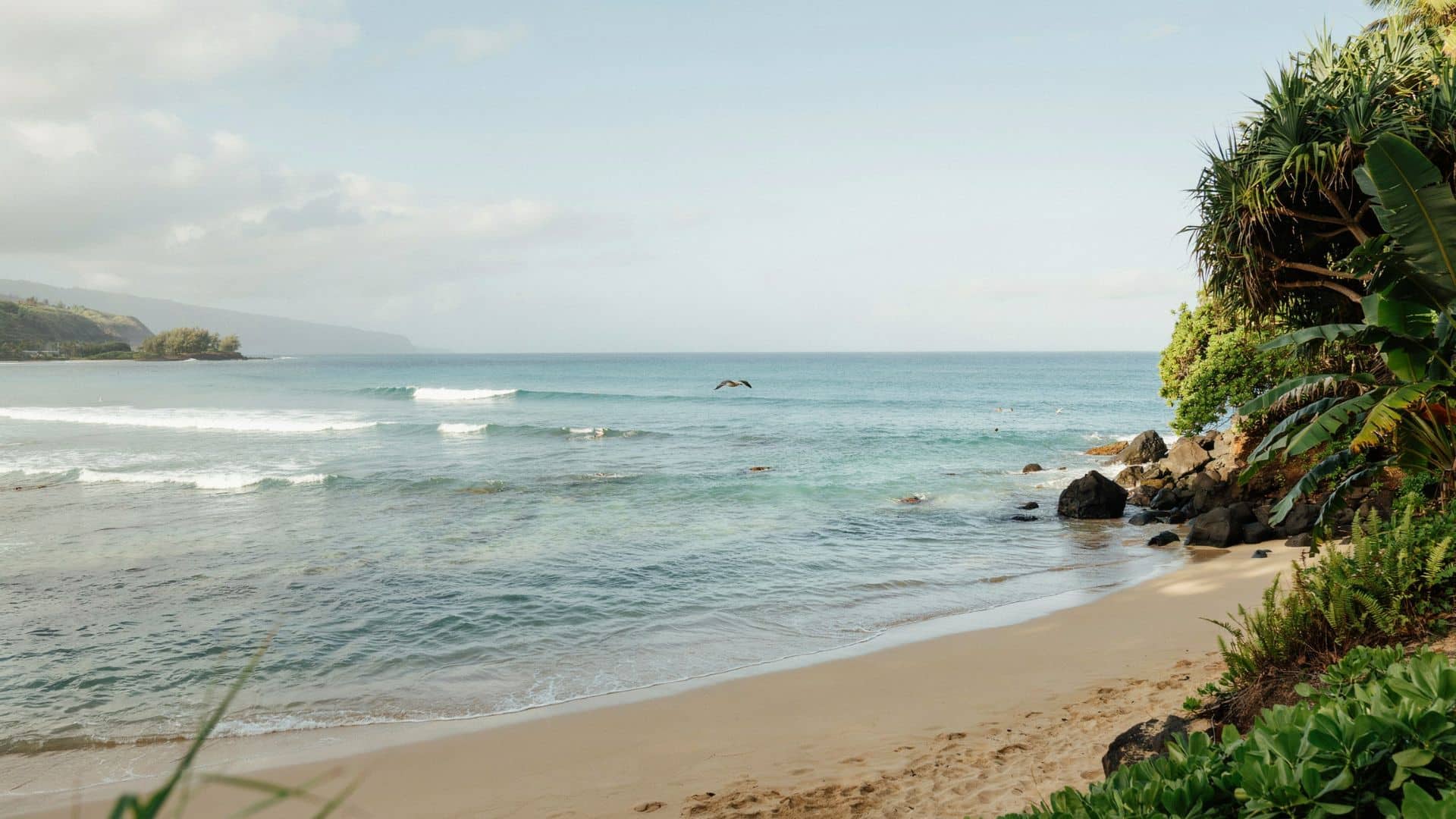 Prince Kuhio Beach with tropical shoreline, clear blue waves, rocky edges, and lush vegetation near Kauai’s southern coast