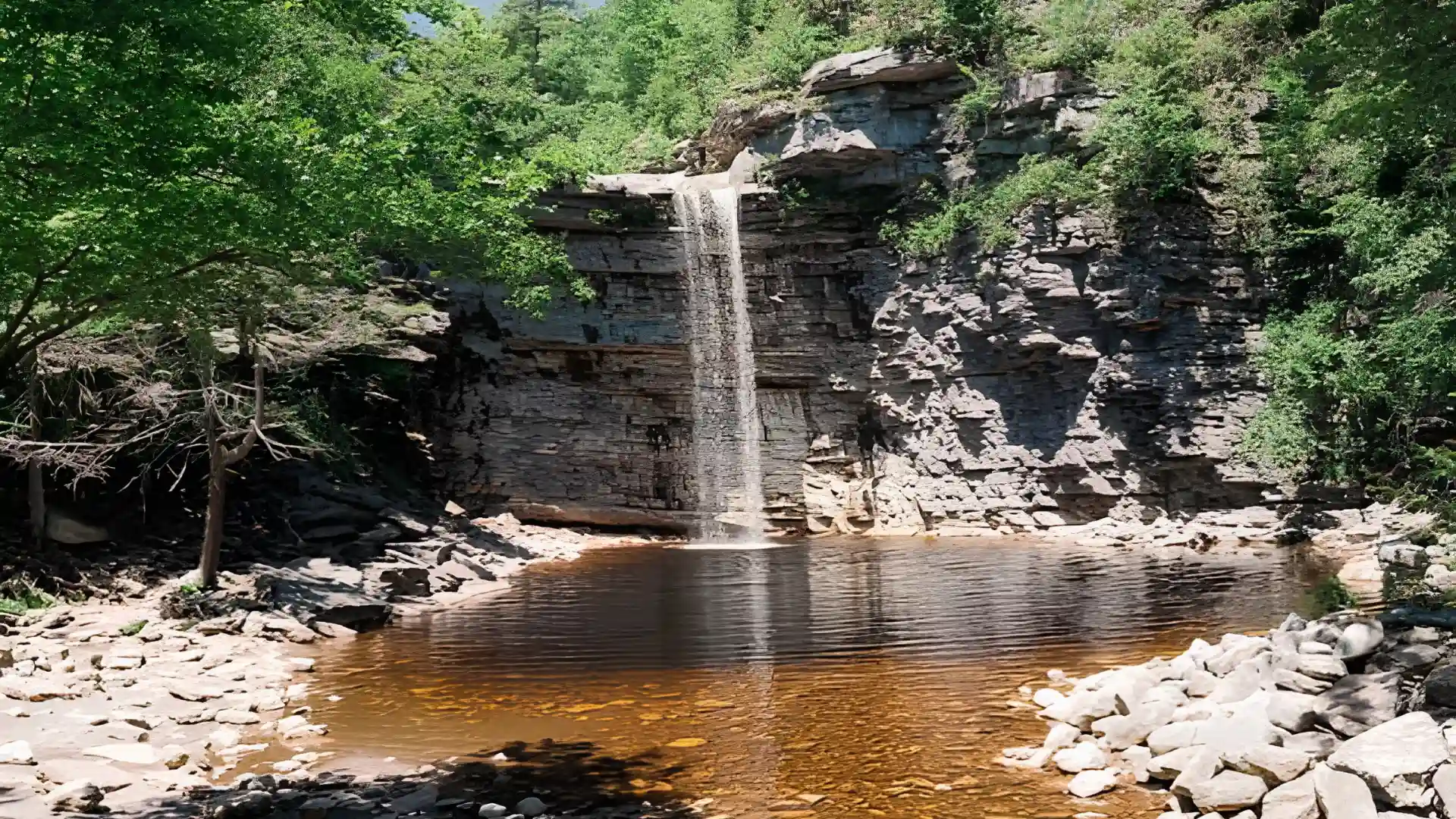 Slender waterfall drops from layered cliffs into a clear amber pool surrounded by dense green forest and pale rocks