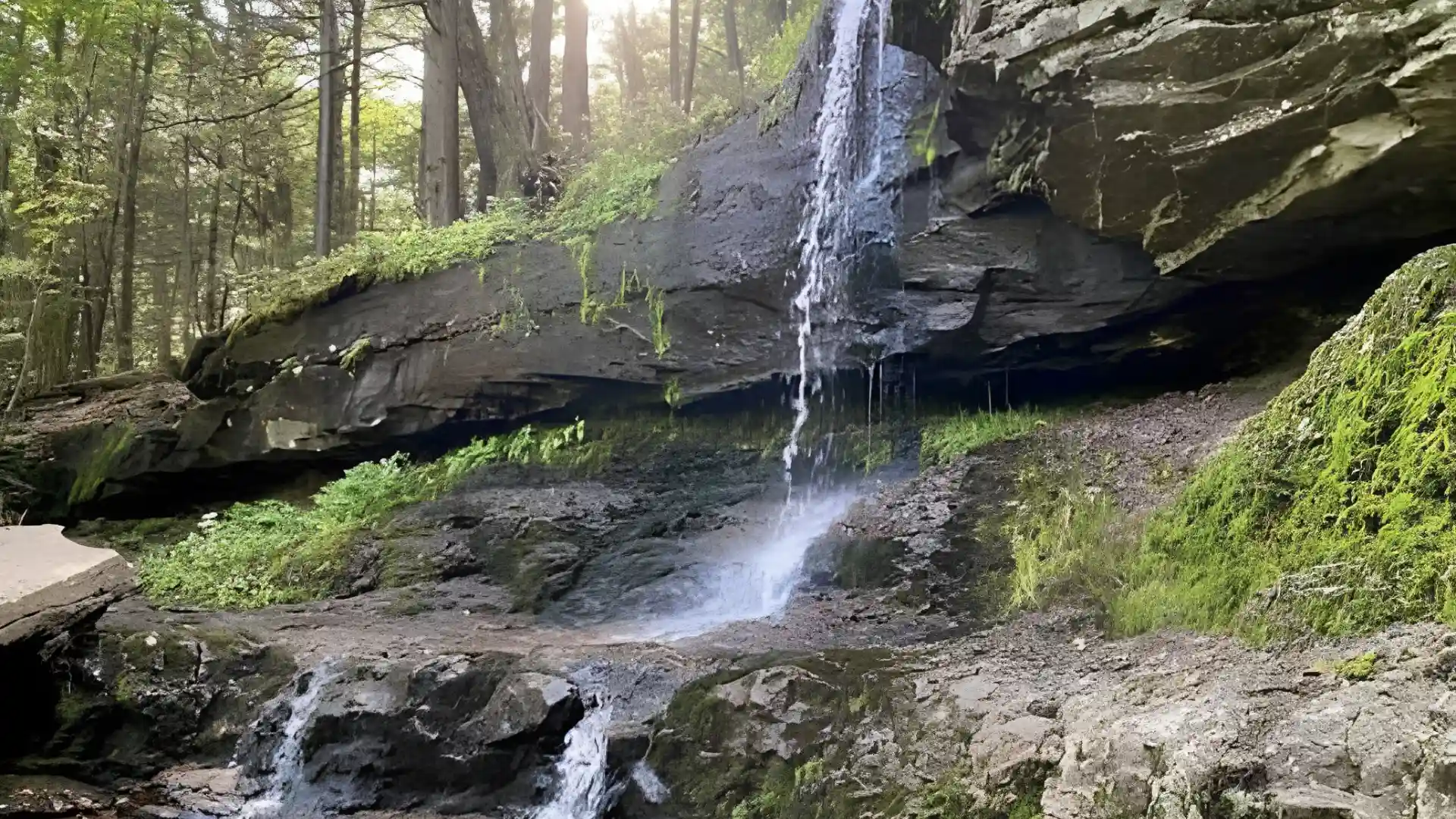 Small forest waterfall spills from a dark rock ledge into a shallow stream beside moss covered cliffs and tall trees