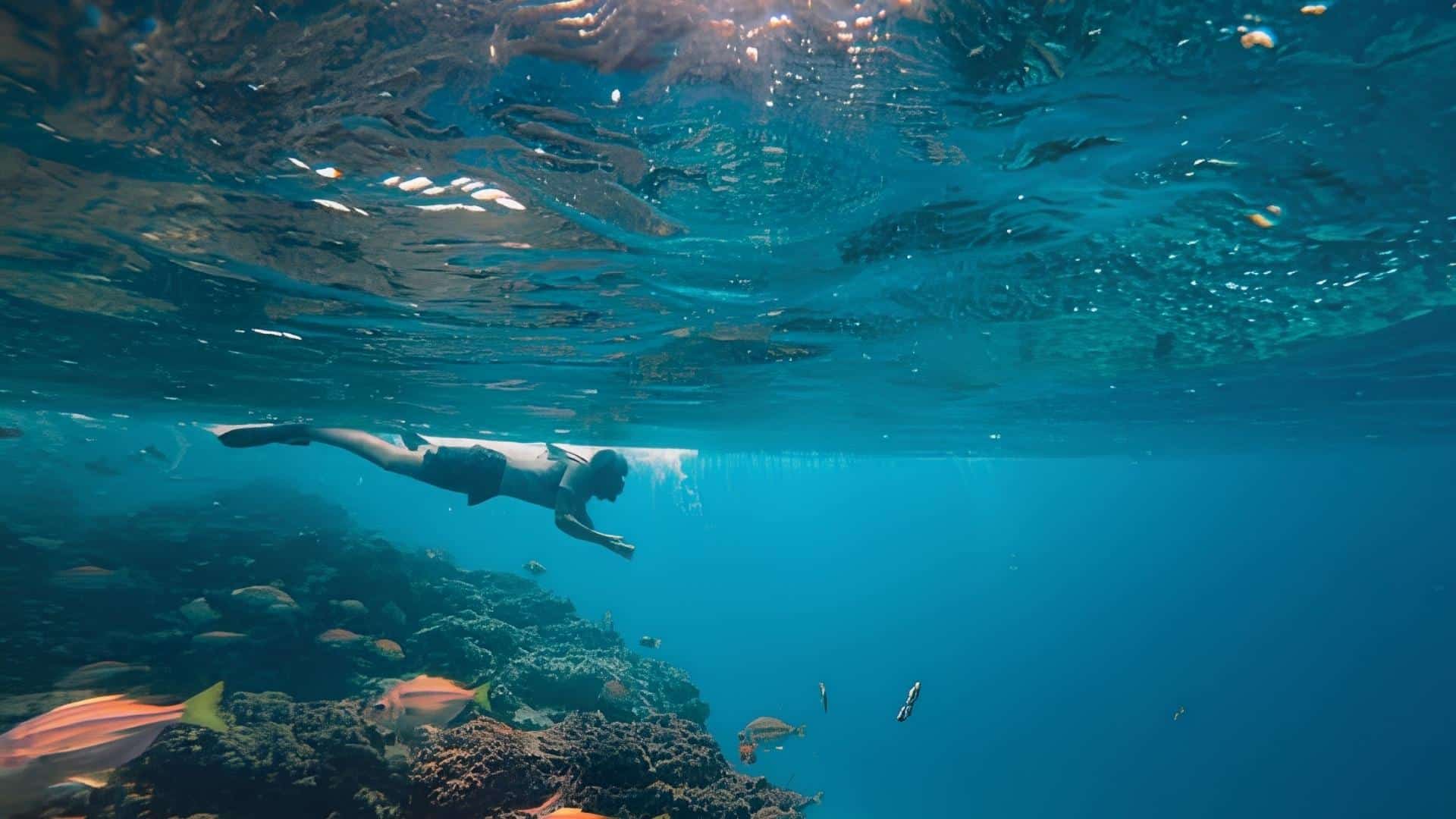 Snorkeler swimming underwater in Costa Rica over coral reef with colorful tropical fish and clear blue ocean water