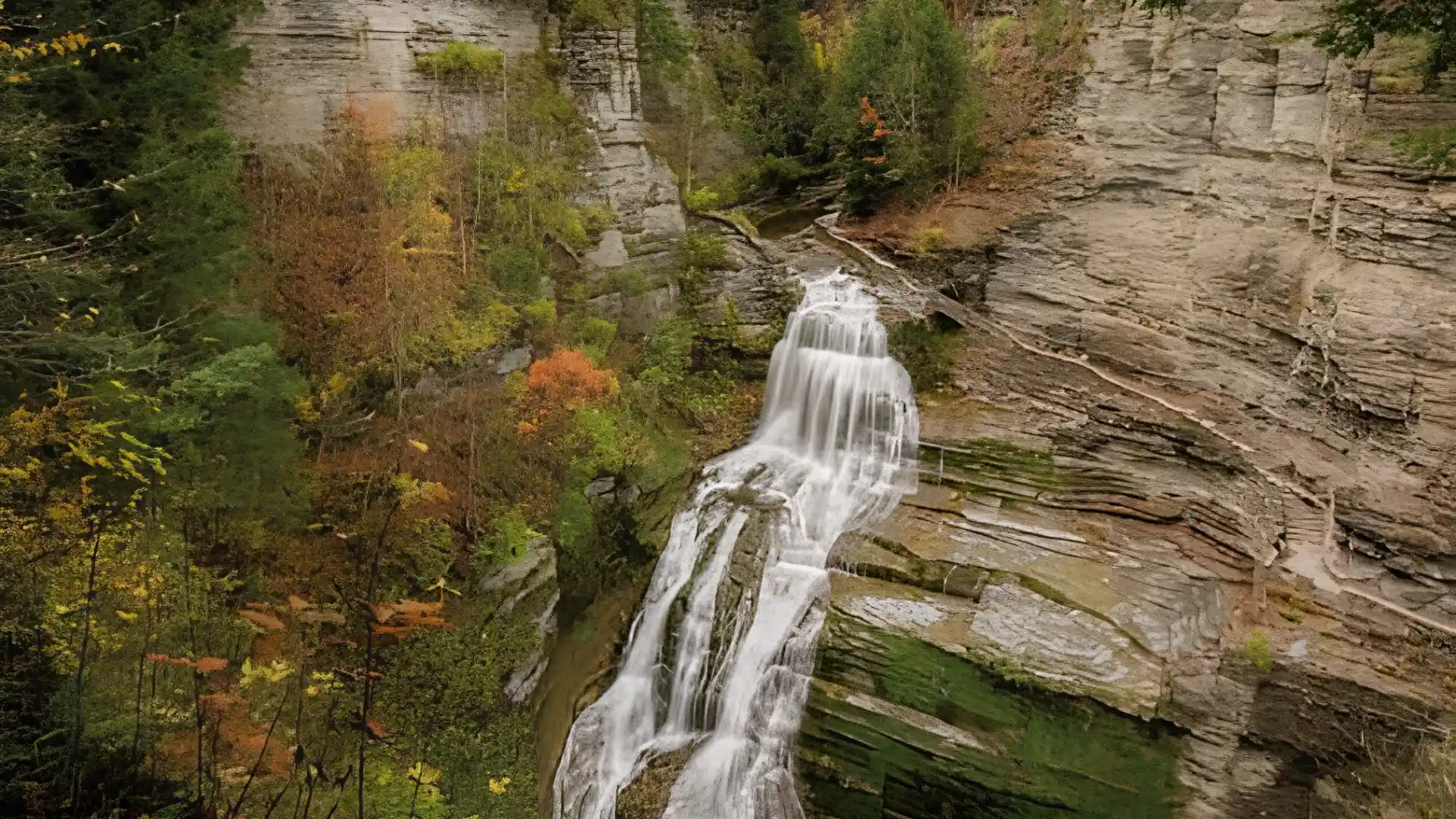 Tiered waterfall descends over layered rock ledges beside autumn trees and mossy cliffs within a rugged forest gorge