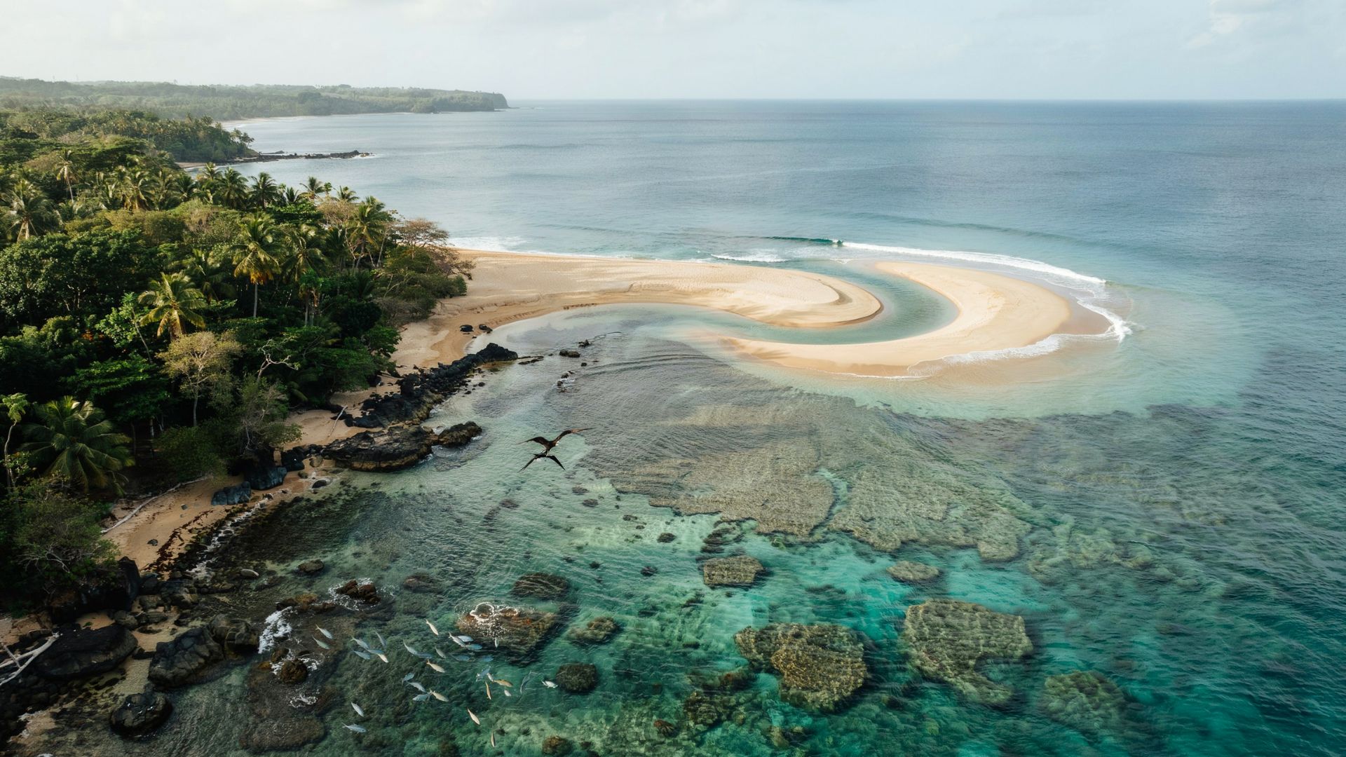 Tortuga Island Costa Rica showing turquoise snorkeling waters sandy beaches tropical forest and coral reef near the island coast