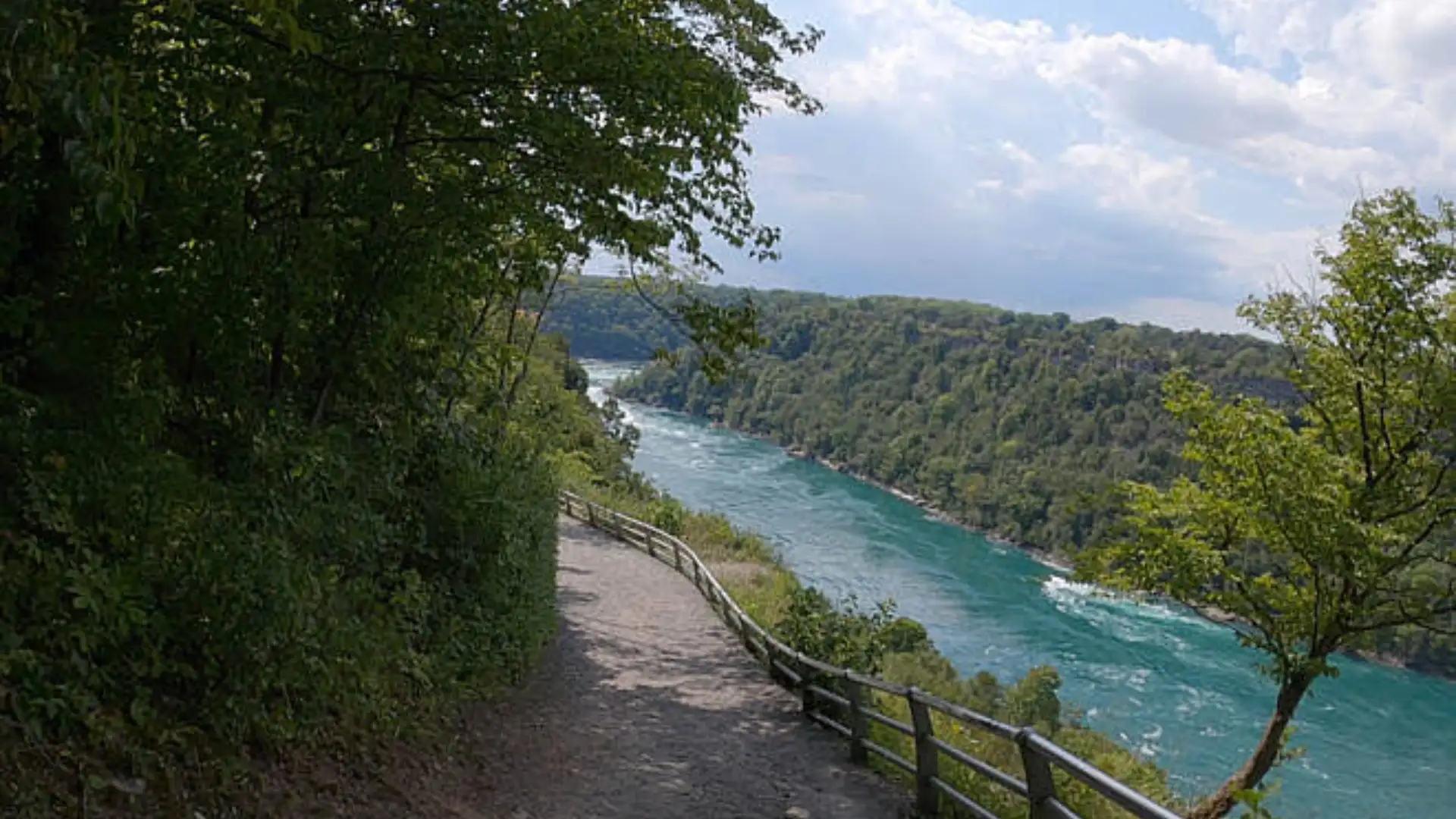 Woodland viewpoint overlooks a fast flowing turquoise river winding between tree covered hills under soft summer clouds