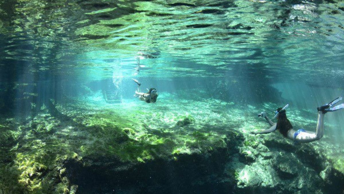 Ginnie Springs Florida with snorkelers exploring clear freshwater and natural spring pools
