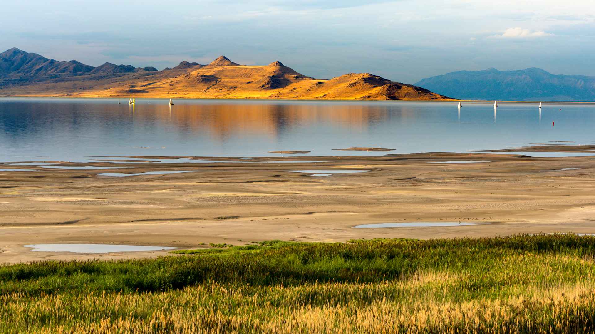 Golden hills reflected in Great Salt Lake water with sailboats and marshy shoreline grass