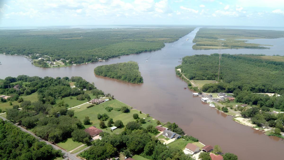 Aerial view of the Gulf Intracoastal Waterway intersecting with Bayou Barataria in a lush, green coastal landscape in Louisiana.