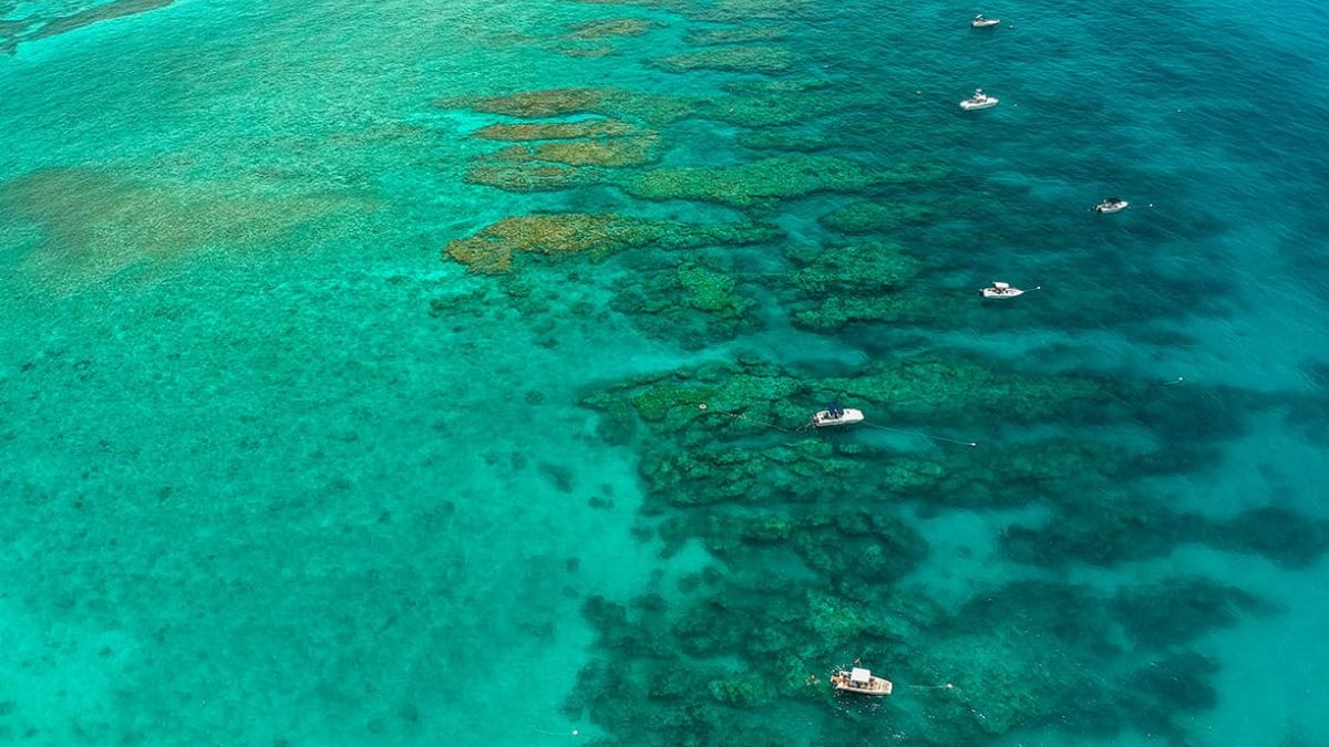 Looe Key Reef in the Lower Keys with clear blue water, coral formations, and boats above the snorkeling area