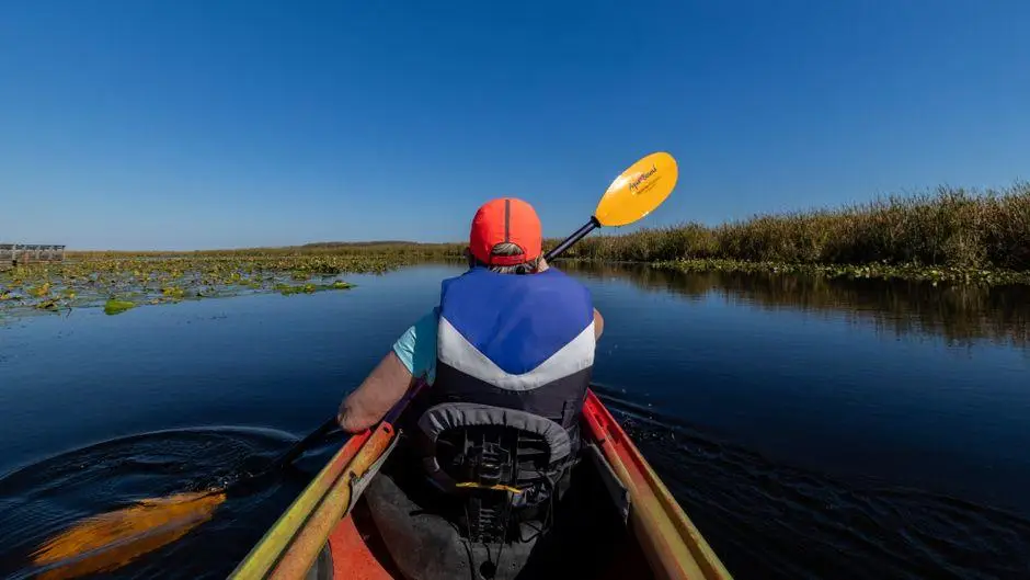 Person kayaking through calm river with reeds under clear blue sky