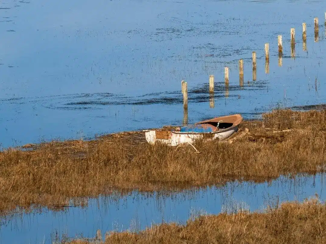 Old wooden boat abandoned on grassy marshland by calm blue water