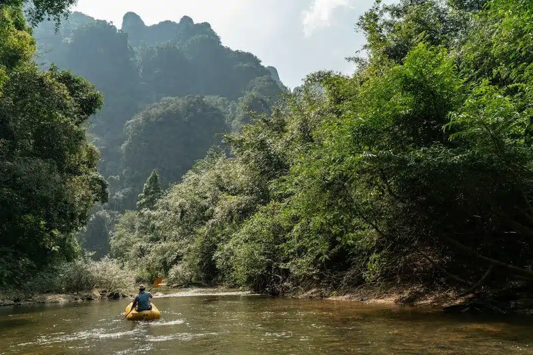 Person kayaking on a narrow river surrounded by lush green forest and mountains