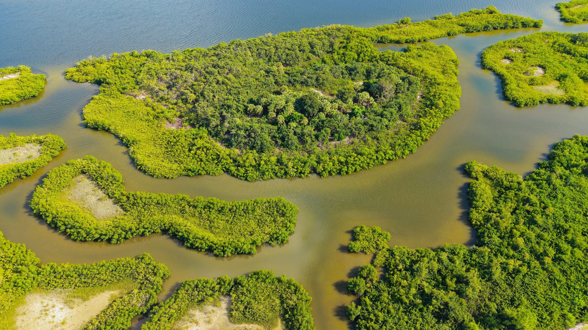 florida